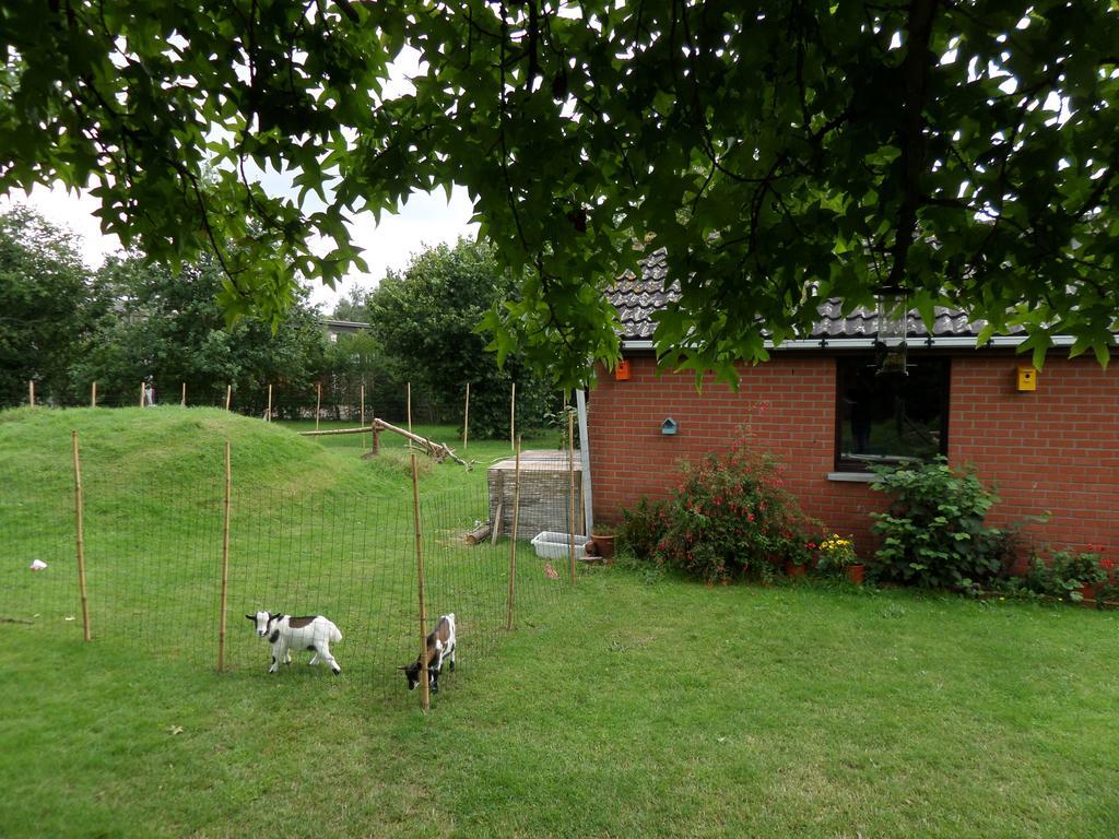Villa Bijenhof Varsenare Pokój zdjęcie