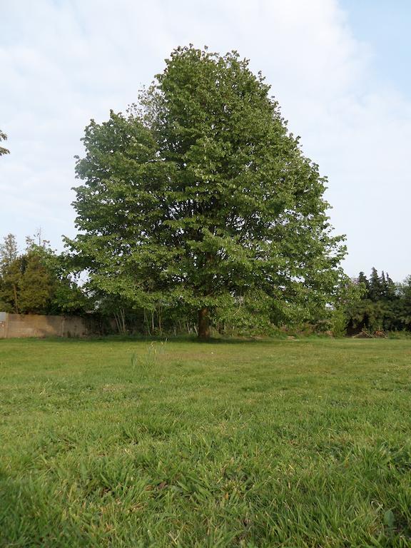 Villa Bijenhof Varsenare Pokój zdjęcie