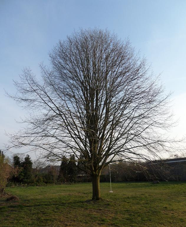 Villa Bijenhof Varsenare Pokój zdjęcie
